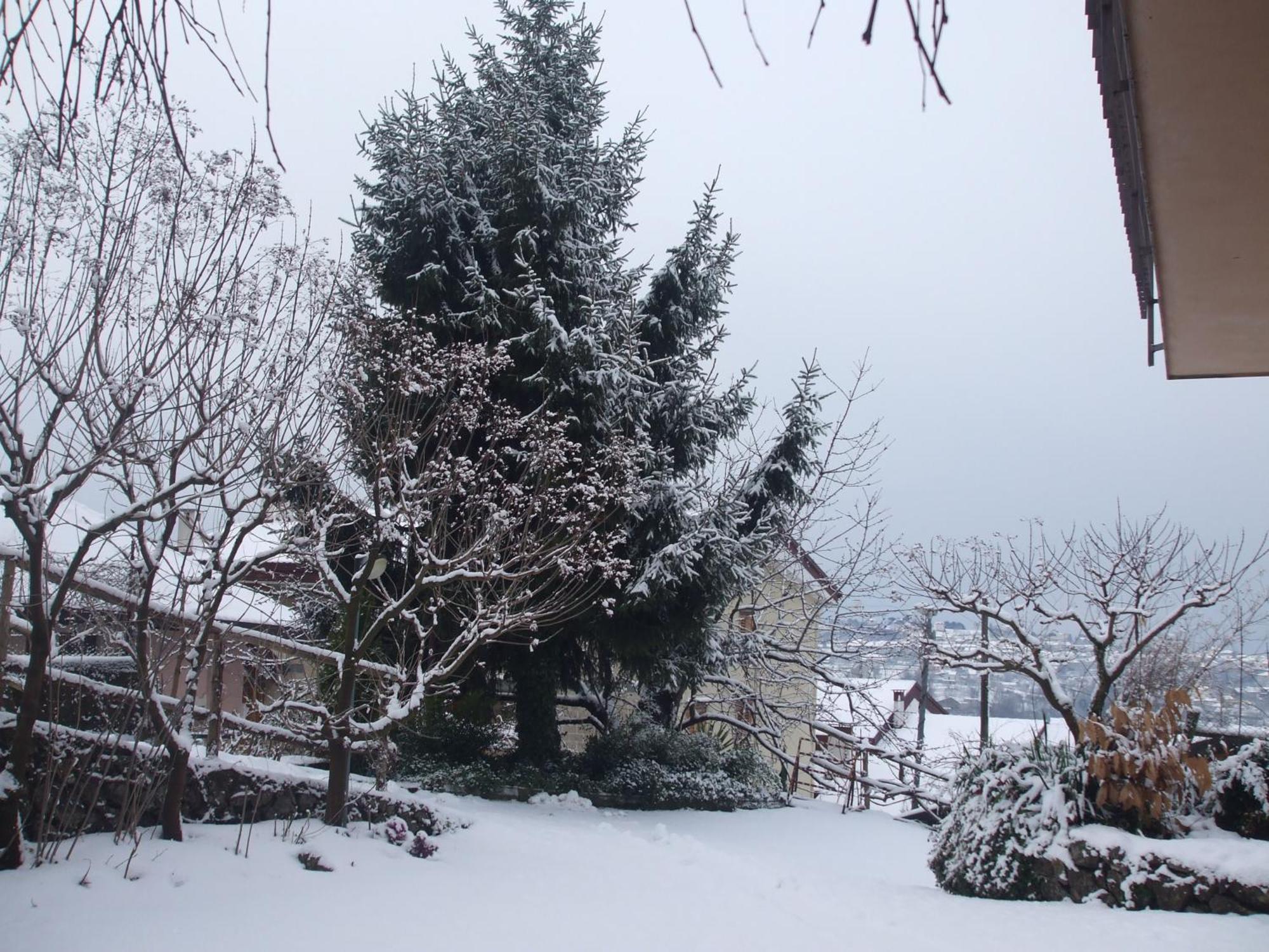 Agriturismo Nonno Tobia Аджерола Екстер'єр фото